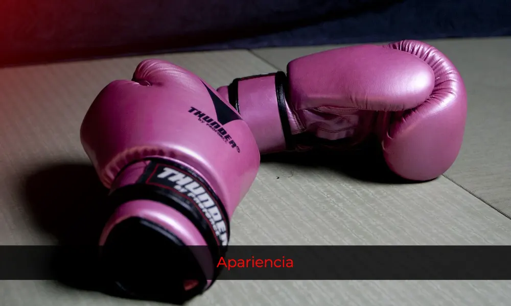 apariencia de los guantes de boxeo