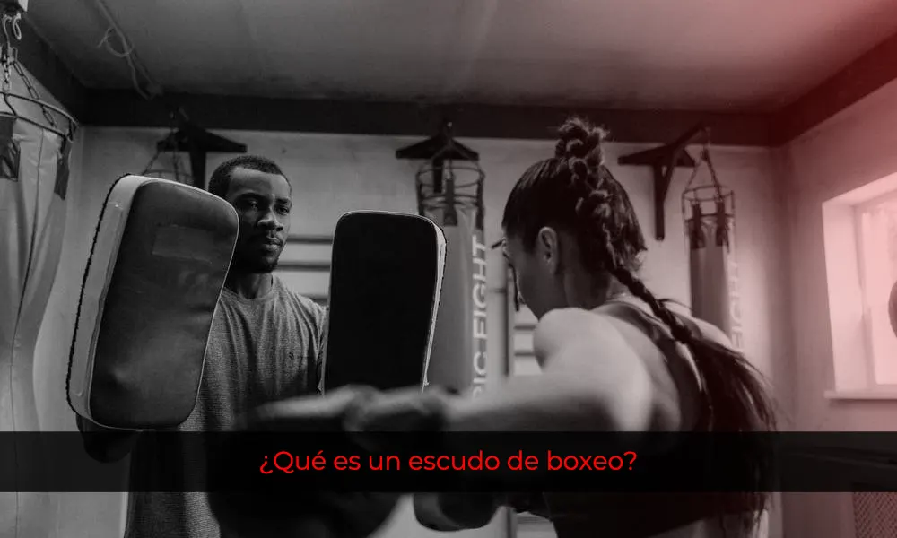 Qué es un escudo de boxeo