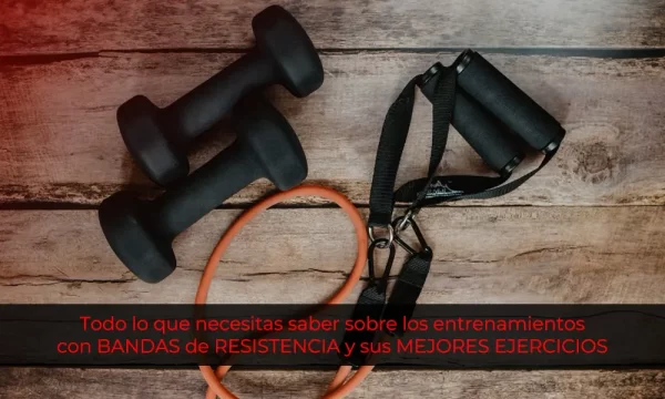 Todo lo que necesitas saber sobre los entrenamientos con BANDAS de RESISTENCIA y sus MEJORES EJERCICIOS