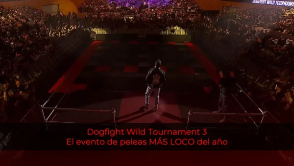 Dogfight Wild Tournament 3