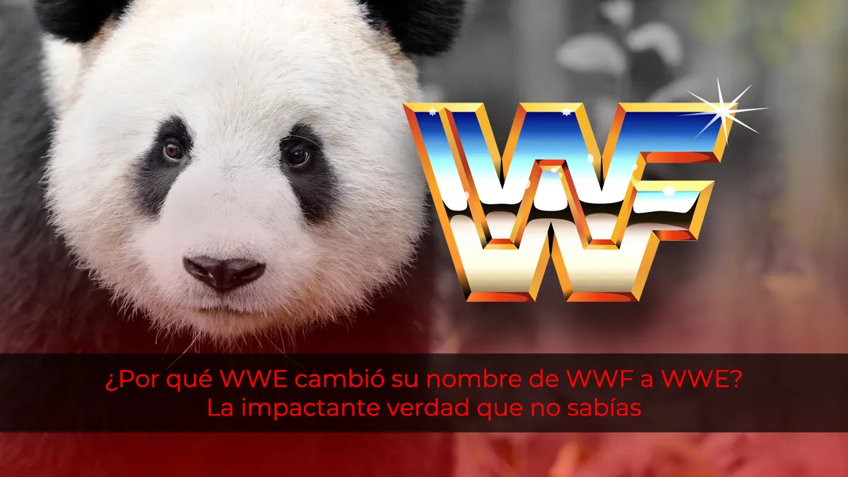 ¿Por qué WWE cambió su nombre de WWF a WWE? La impactante verdad que no sabías