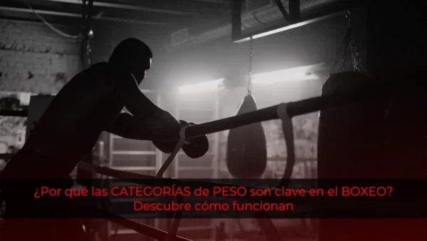 ¿Por qué las divisiones y categorías de peso son clave en el boxeo? Descubre cómo funcionan