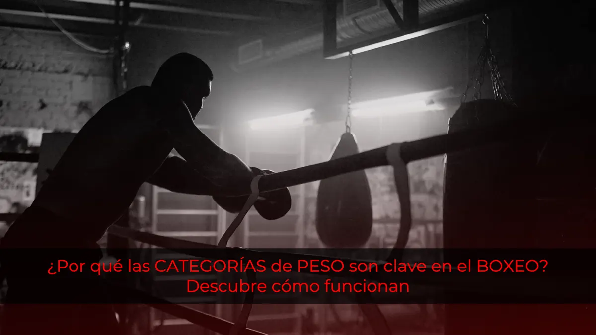 ¿Por qué las divisiones y categorías de peso son clave en el boxeo? Descubre cómo funcionan